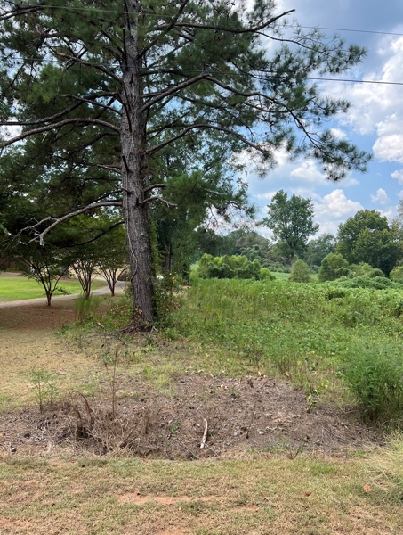Home with Land for Sale in Selma Alabama