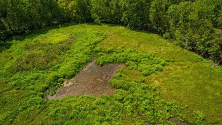 1600 Acres Land for Sale Outside of Baton Rouge, LA - image 26