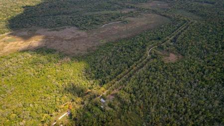 1600 Acres Land for Sale Outside of Baton Rouge, LA - image 1