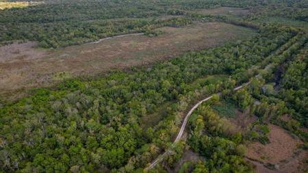 1600 Acres Land for Sale Outside of Baton Rouge, LA - image 32