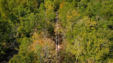 1600 Acres Land for Sale Outside of Baton Rouge, LA - image 30