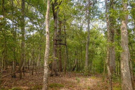 1600 Acres Land for Sale Outside of Baton Rouge, LA - image 14