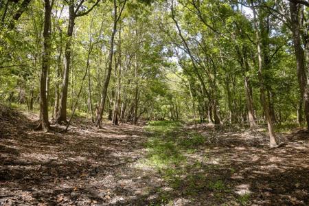 1600 Acres Land for Sale Outside of Baton Rouge, LA - image 8