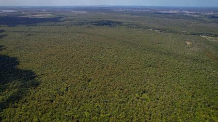 1600 Acres Land for Sale Outside of Baton Rouge, LA - image 27