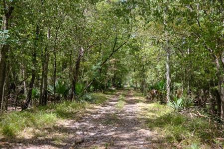 1600 Acres Land for Sale Outside of Baton Rouge, LA - image 5