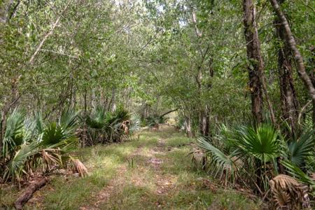 1600 Acres Land for Sale Outside of Baton Rouge, LA - image 20