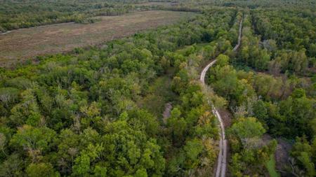 1600 Acres Land for Sale Outside of Baton Rouge, LA - image 31