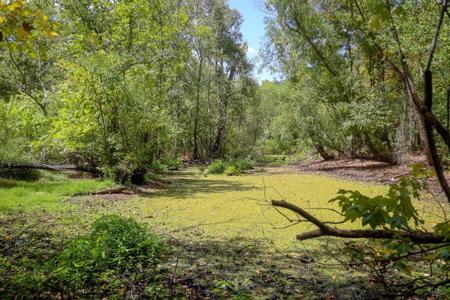 1600 Acres Land for Sale Outside of Baton Rouge, LA - image 12