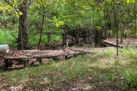 1600 Acres Land for Sale Outside of Baton Rouge, LA - image 15