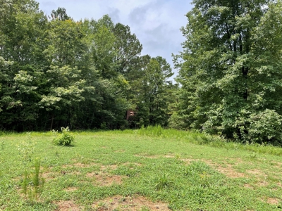 The Wick - 222 Acres Land for Sale Union County, MS - image 19