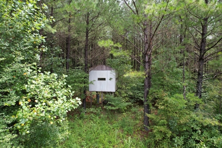 The Wick - 222 Acres Land for Sale Union County, MS - image 11
