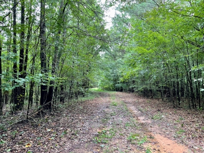 The Wick - 222 Acres Land for Sale Union County, MS - image 41