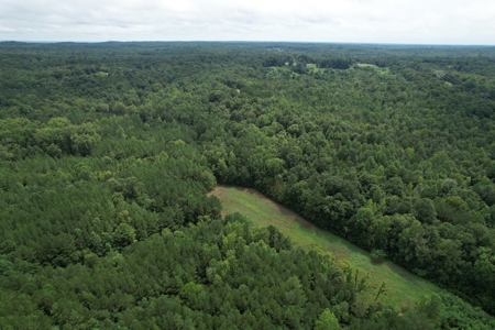 The Wick - 222 Acres Land for Sale Union County, MS - image 5