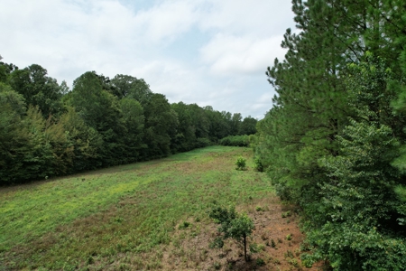 The Wick - 222 Acres Land for Sale Union County, MS - image 12