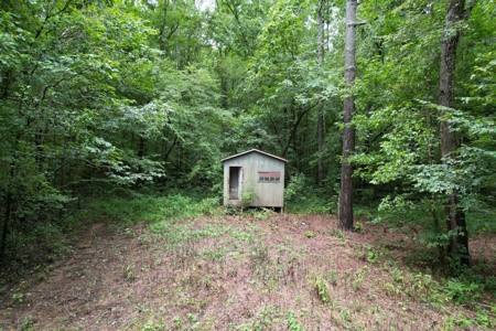 The Wick - 222 Acres Land for Sale Union County, MS - image 15