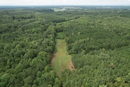 The Wick - 222 Acres Land for Sale Union County, MS - image 9