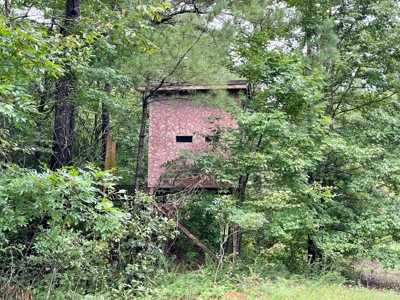 The Wick - 222 Acres Land for Sale Union County, MS - image 21