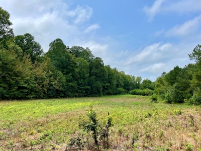The Wick - 222 Acres Land for Sale Union County, MS - image 28