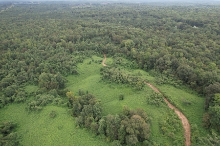 The Wick - 222 Acres Land for Sale Union County, MS - image 17