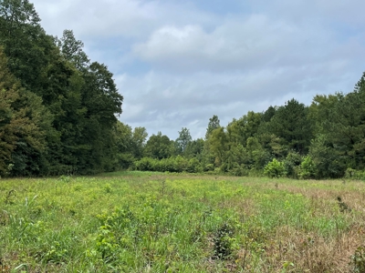 The Wick - 222 Acres Land for Sale Union County, MS - image 26
