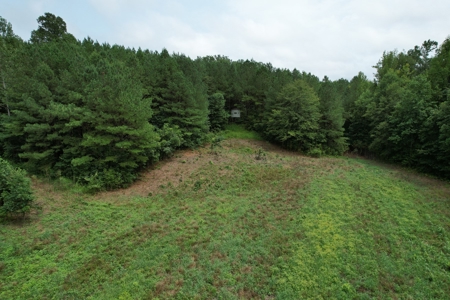 The Wick - 222 Acres Land for Sale Union County, MS - image 3