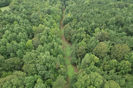 The Wick - 222 Acres Land for Sale Union County, MS - image 14