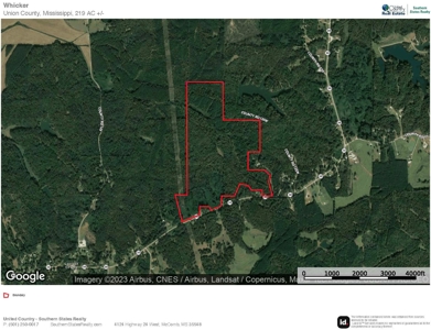 The Wick - 222 Acres Land for Sale Union County, MS - image 45