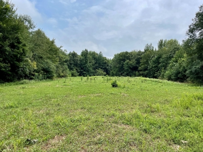 The Wick - 222 Acres Land for Sale Union County, MS - image 20