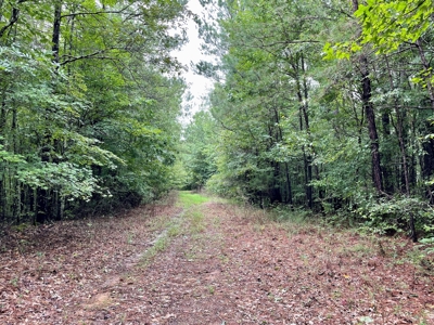 The Wick - 222 Acres Land for Sale Union County, MS - image 22