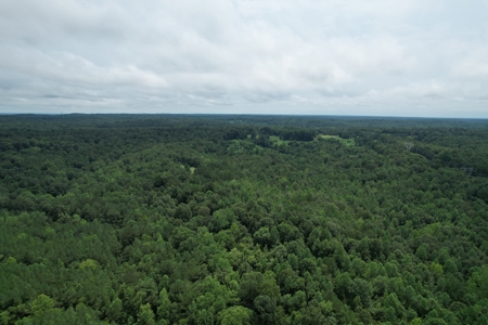 The Wick - 222 Acres Land for Sale Union County, MS - image 4