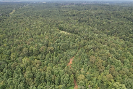 The Wick - 222 Acres Land for Sale Union County, MS - image 16