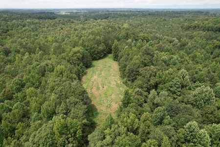 The Wick - 222 Acres Land for Sale Union County, MS - image 8