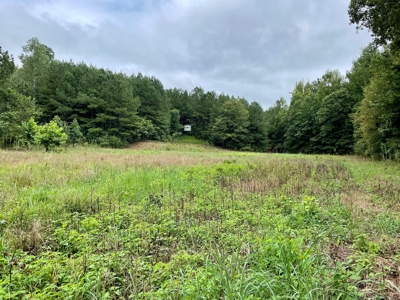 The Wick - 222 Acres Land for Sale Union County, MS - image 24