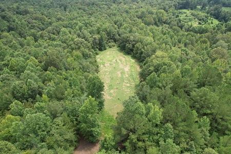 The Wick - 222 Acres Land for Sale Union County, MS - image 7