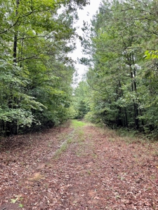 The Wick - 222 Acres Land for Sale Union County, MS - image 23