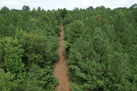 The Wick - 222 Acres Land for Sale Union County, MS - image 1