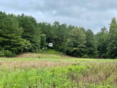 The Wick - 222 Acres Land for Sale Union County, MS - image 25