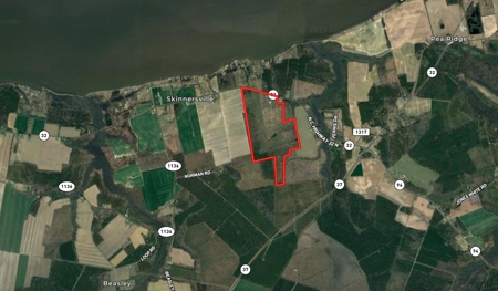 For Sale: A Dream Property at 15610 NC Hwy. 32 N, Roper, NC - image 2