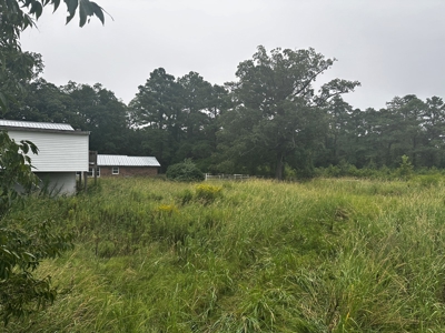 For Sale: A Dream Property at 15610 NC Hwy. 32 N, Roper, NC - image 9