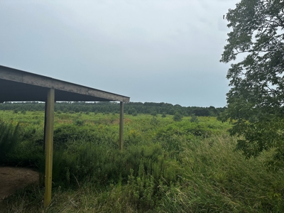 For Sale: A Dream Property at 15610 NC Hwy. 32 N, Roper, NC - image 6