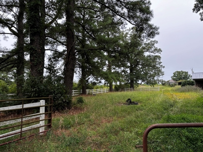 For Sale: A Dream Property at 15610 NC Hwy. 32 N, Roper, NC - image 16