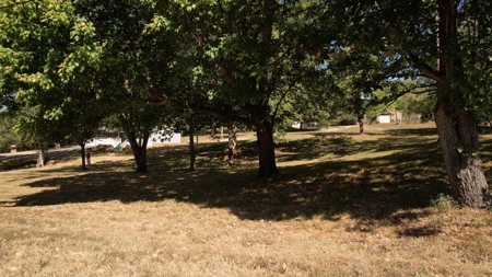 Land for Sale Osceola MO - image 4