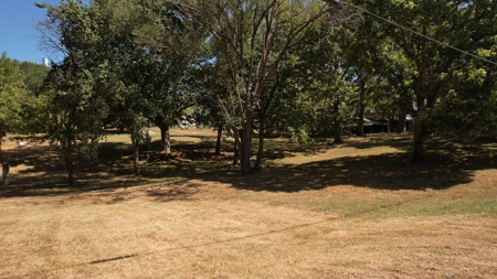 Land for Sale Osceola MO - image 3