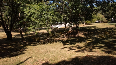Land for Sale Osceola MO - image 5