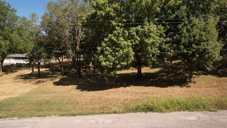 Land for Sale Osceola MO - image 2