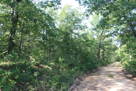 Reynolds County Missouri land for sale - image 1