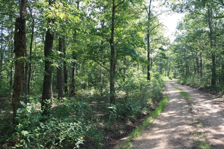 Reynolds County Missouri land for sale - image 10