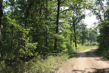 Reynolds County Missouri land for sale - image 6