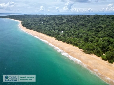 Live by where The Survivor TV show is being filmed, Panama - image 9