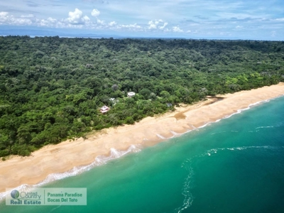 Live by where The Survivor TV show is being filmed, Panama - image 8
